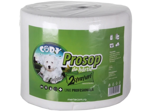 Prosop de hartie Cody 2straturi 520foi