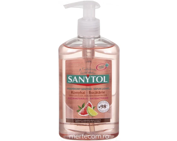 Sapun lichid antibacterian bucatarie Sanytol 250ml