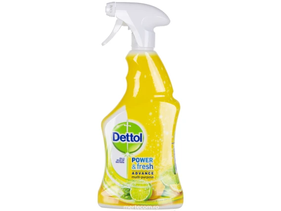 Detergent multifunctional Dettol 500ml (Lamaie)