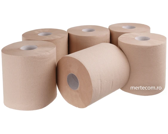Prosop de hartie rulou maxi Brown 2straturi 100metri