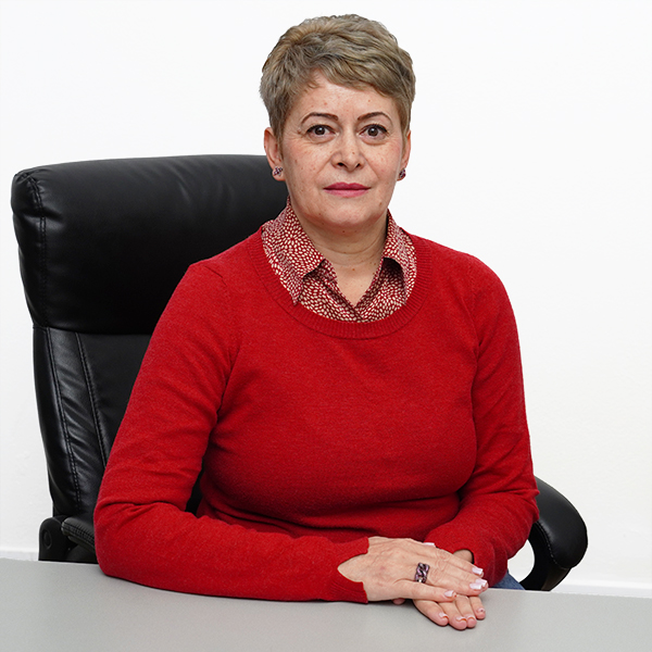 Silvia Bratoloveanu - Financiar