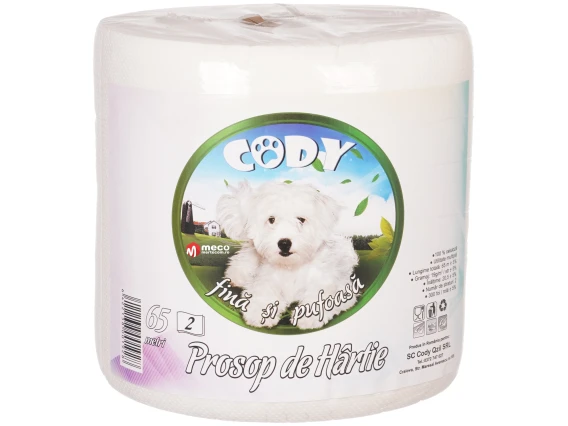 Prosop de hartie Cody 2straturi 65metri
