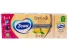 Batiste de hartie Zewa 3straturi tipla 10buc/set (Spirit of Tea)
