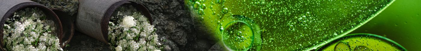 Bioactivatori fose septice