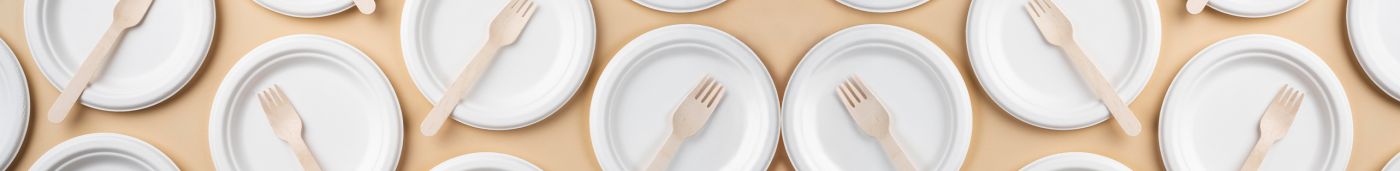 Unică folosință catering