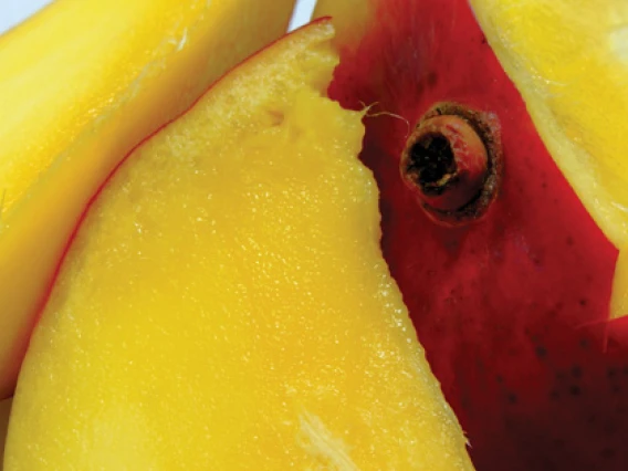 Rezerva odorizant camera Spring Air Mango Delight