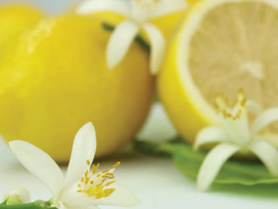 Rezerva odorizant camera Spring Air Lemon Blossom
