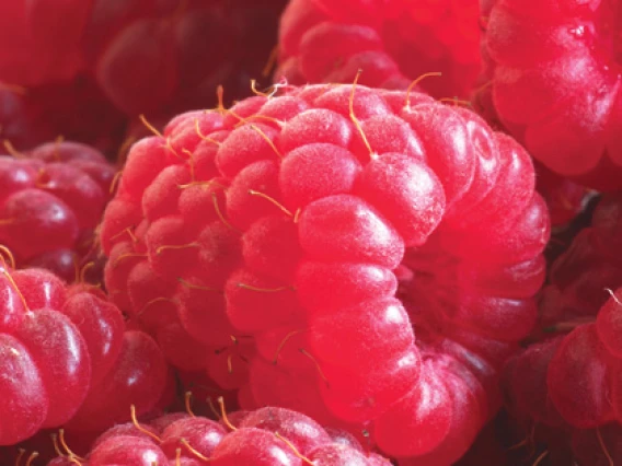 Rezerva odorizant camera Spring Air Rasberry