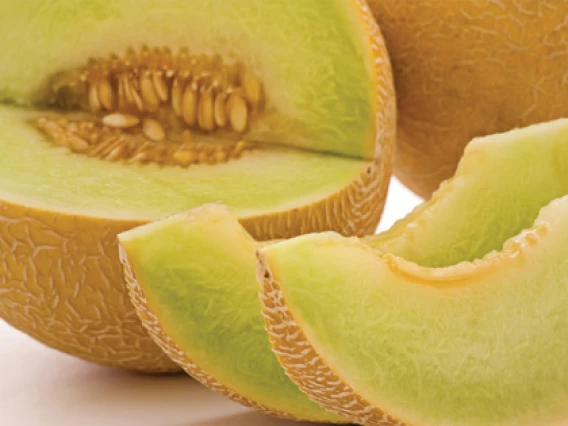 Rezerva odorizant camera Spring Air Melon