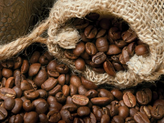 Rezerva odorizant camera Spring Air Coffee