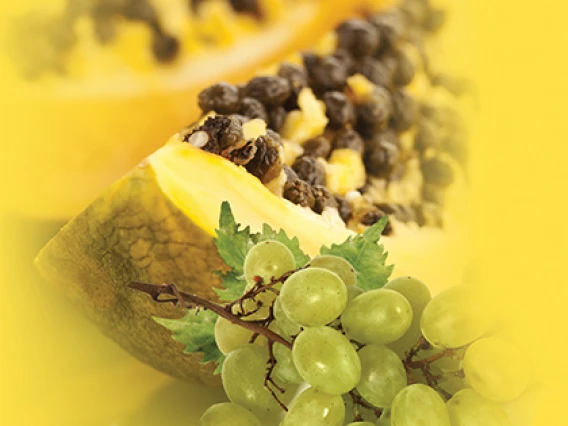 Rezerva odorizant camera Spring Air Papaya Grape
