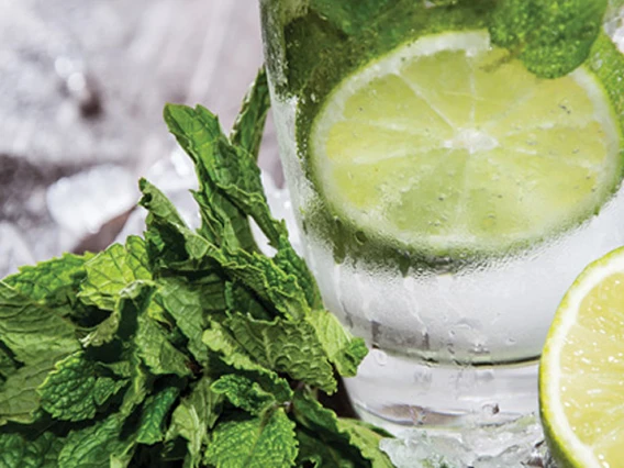 Rezerva odorizant camera Spring Air Frozen Mojito