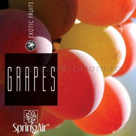 Odorizant spray SpringAir Grapes 500ml